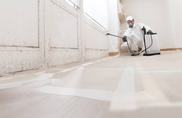 24/7 Emergency Mold Remediation experts in Jamison, PA